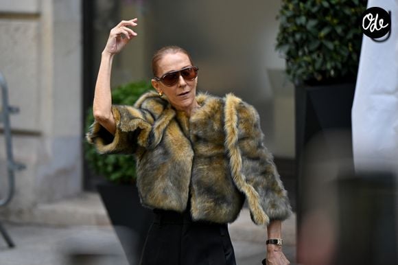 Le collier The Address appartient à la collection Histoire de Style 2026.

Céline Dion acclamée par ses fans à la sortie de l’hôtel Royal Monceau à Paris, avant de se rendre à la Plenitude Arena de Paris La Défense, pour sa troisième date de concert, le 16 septembre 2026. © Lionel Urman/Bestimage