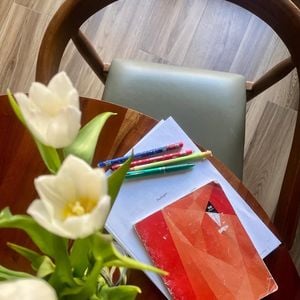 Olivia Ruiz a dévoilé son nouveau projet à ses abonnés. Capture d'écran Instagram