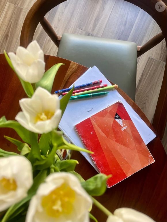 Olivia Ruiz a dévoilé son nouveau projet à ses abonnés. Capture d'écran Instagram