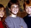 La saga Harry Potter au cinéma a passionné toute une génération de jeunes spectateurs, qui s'imaginaient, eux aussi, en apprentis sorciers.

Emma Watson, Daniel Radcliffe et Rupert Grint, indissociables de la saga Harry Potter.