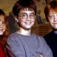 Harry Potter : Une star de la saga paye très cher son erreur envers le fisc...