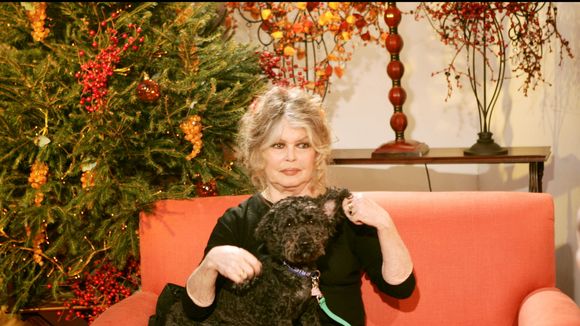"C'était pas terrible, mais" : Brigitte Bardot se remémore sa relation avec Alain Delon et un aspect en particulier