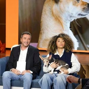Bernard Montiel, Oli et son chien Monday sur plateau de l'émission "Animalement Vôtre" présentée par B.Montiel et diffusée le 25 janvier 2026 sur France 3, à Paris, France, le 3 décembre 2025. © Jack Tribeca/Bestimage