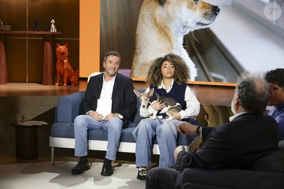 Bernard Montiel, Oli et son chien Monday sur plateau de l'émission "Animalement Vôtre" présentée par B.Montiel et diffusée le 25 janvier 2026 sur France 3, à Paris, France, le 3 décembre 2025. © Jack Tribeca/Bestimage