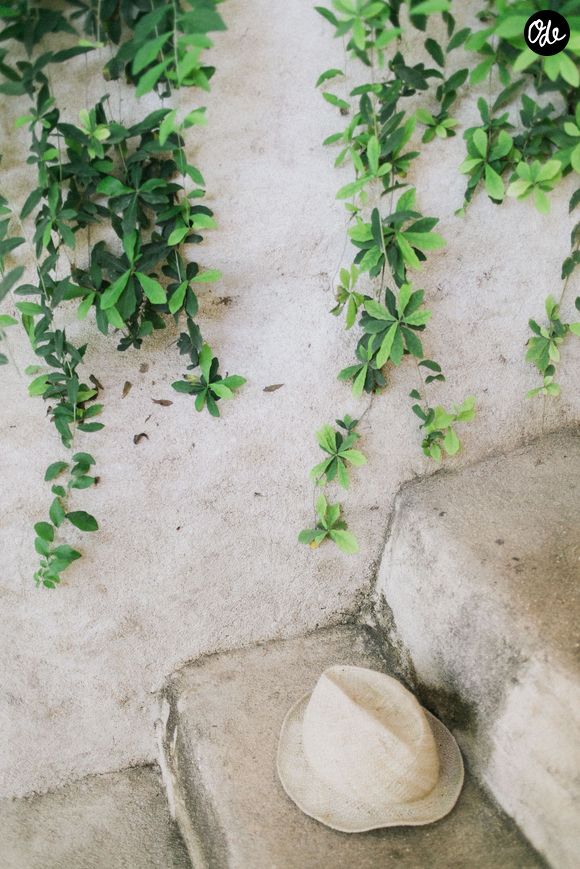 Très peu exigeante, elle pousse aisément dans un simple pot exposé au soleil avec un arrosage modéré.