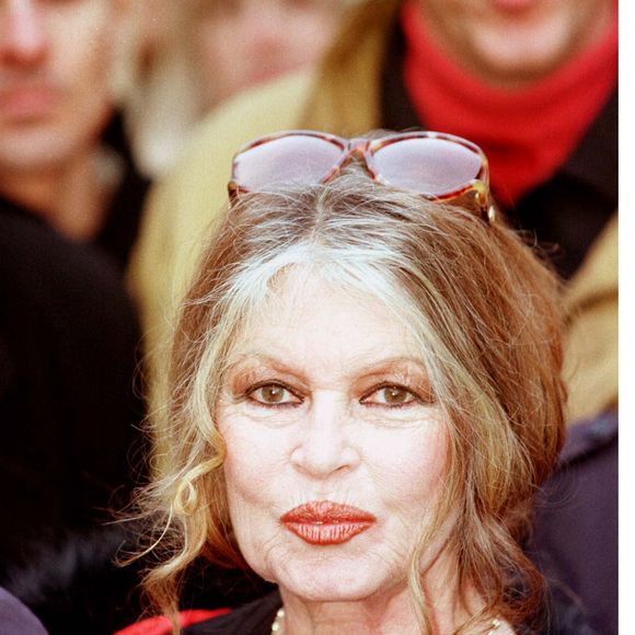 Brigitte Bardot a récemment accepté d'être la marraine d'une exposition qui lui était consacrée à l'occasion de son 90e anniversaire

Brigitte Bardot.