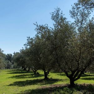 Domaine du Canadel à Brignoles, Var, sud de la France le 2 mai 2021. Photo by Florian Escoffier/ABACAPRESS.COM