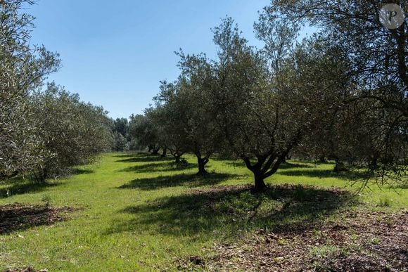Domaine du Canadel à Brignoles, Var, sud de la France le 2 mai 2021. Photo by Florian Escoffier/ABACAPRESS.COM