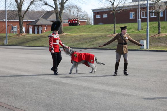 Catherine (Kate) Middleton, princesse de Galles, assiste au défilé de la Saint-Patrick des Irish Guards à la caserne de Mons à Aldershot, le 17 mars 2026, à l'occasion de la St Patrick.
PA Photo/ Bestimage
