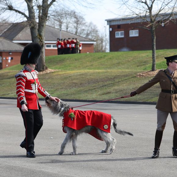 Catherine (Kate) Middleton, princesse de Galles, assiste au défilé de la Saint-Patrick des Irish Guards à la caserne de Mons à Aldershot, le 17 mars 2026, à l'occasion de la St Patrick.
PA Photo/ Bestimage