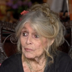 Après 11 ans sans se montrer, Brigitte Bardot réapparaît pour donner des nouvelles de sa santé