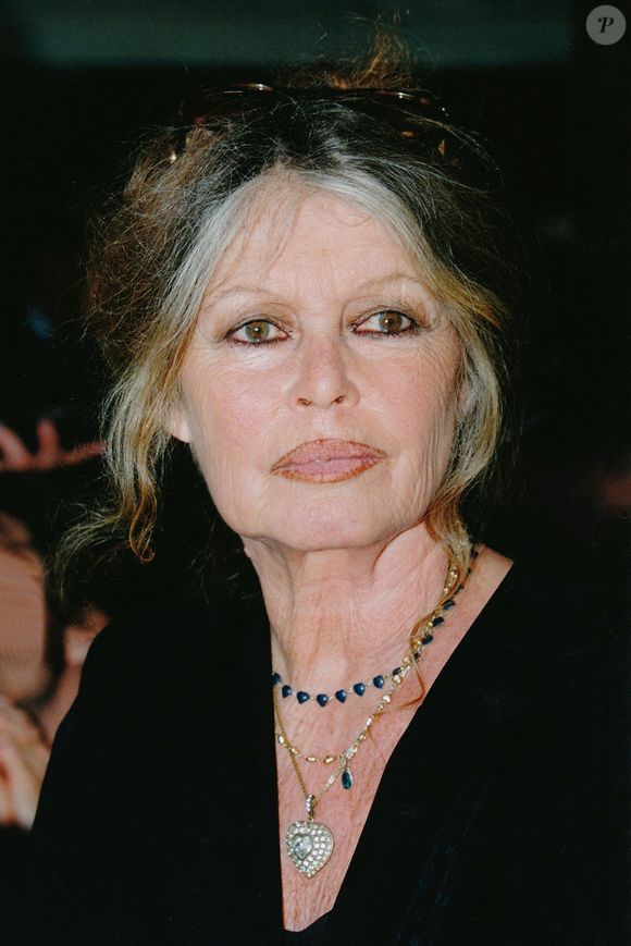 Brigitte Bardot est décédée à 91 ans à son domicile de La Madrague, à Saint-Tropez.

Portrait de Brigitte Bardot.

JLPPA / Bestimage