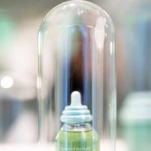 Exclusif - Atmosphère lors du lancement de la gamme de soins cheveux "Yuumae" de Coralie Porrovecchio, à Paris, le 6 décembre 2025.
© Pierre Perusseau/Bestimage