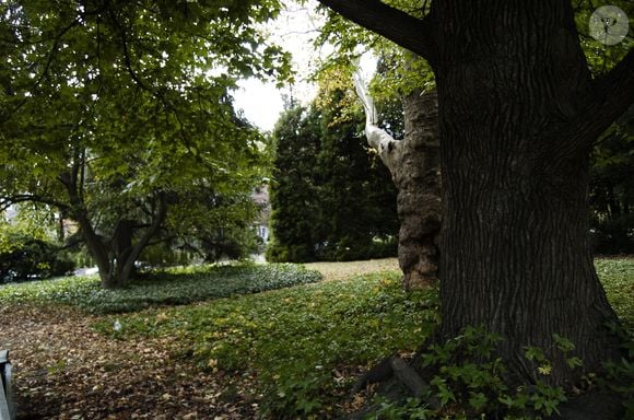 De style géorgien, avec sa façade de briques et son perron à colonnes blanches, la demeure de trois étages se situe dans le quartier chic de East Falls à Philadelphie, Pennsylvanie, Etats-Unis, le 25 octobre 2016. Agence/Bestimage