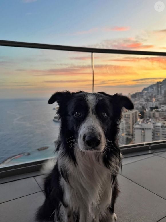 Cameron Smet a publié plusieurs photos dans un post Instagram le 13 novembre 2025.