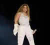 Selon les pompiers locaux, l'homme a eu les jambes écrasées par un système de levage défectueux. 

Le 8 décembre 2025, Shakira a fait son retour au stade Vélez Sarsfield de Buenos Aires.

 © 2025 RS Fotos/The Grosby Group