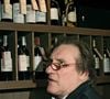 Un bâtiment érigé au XVème siècle et remanié au XIXème siècle

Archives - Gerard Depardieu fait la promotion du vin d'Anjou "Chateau de Tigné", fabrique dans sa propriete dans la vallee de la Loire. Le 28 octobre 2007