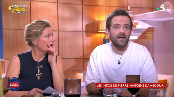 "Merci à toute la team de C à Vous, c’était une belle expérience et merci à mon binôme de conneries @fabbibus.stupidus. À vous les studios, à vous @bertrand.cham, à vous Cognac Jay."

Pierre-Antoine Damecour remplace Bertrand Chameroy dans "C à vous" sur France 5.