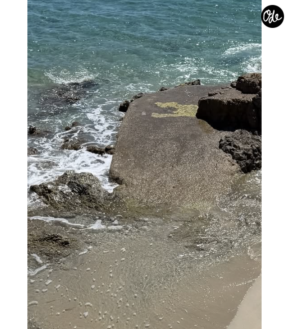 Sur les images, l’animatrice de 53 ans dévoile une ambiance estivale, entre transats, plage privée, mer turquoise. 

Photos partagées en story du compte Instagram de Marine Vignes le 13 juin 2026