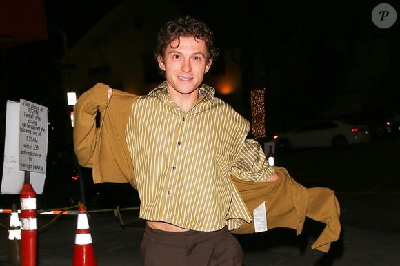 Tom Holland à Los Angeles.


Photo : Backgrid USA / Bestimage