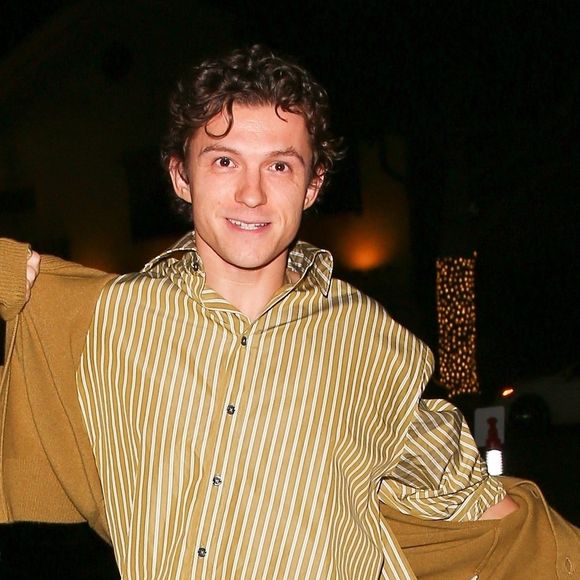 Tom Holland à Los Angeles.


Photo : Backgrid USA / Bestimage