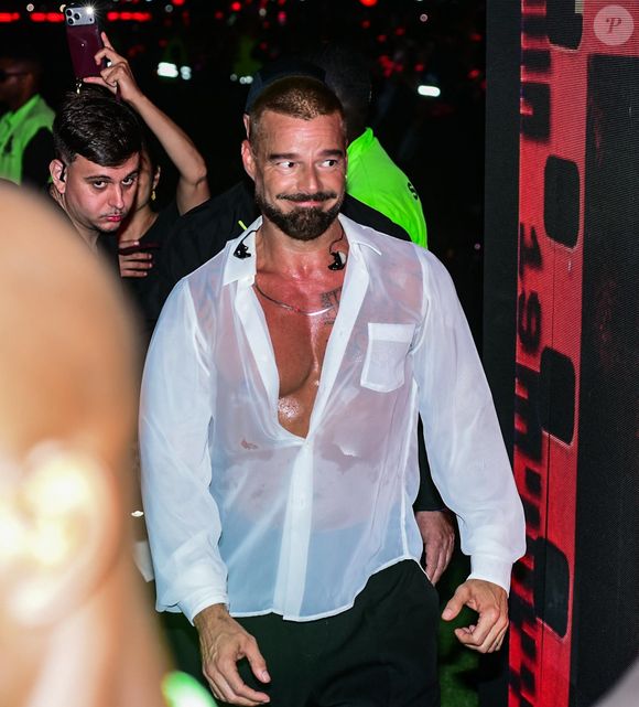Le chanteur Ricky Martin a failli se faire arracher sa chemise par des fans lors du concert "Registro Histórico" au Parc Olympique de Rio de Janeiro.


©Bestimage