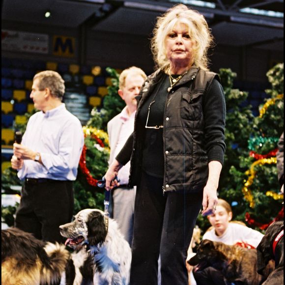 Brigitte Bardot au "Noël des animaux SPA" à Levallois-Perret le 18 décembre 2004.

Photo : Bestimage