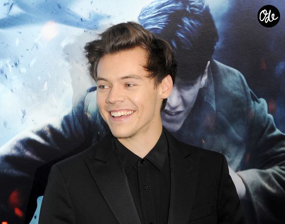 Harry Styles à la première de "Dunkerque (Dunkirk)" à New York
Bestimage