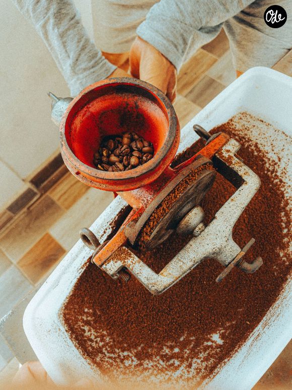 Vous pouvez ajouter du marc de café dans la cuvette une fois par semaine.

Pexels