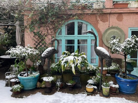 Située au bout d’une impasse discrète, la propriété s’ouvre sur un patio luxuriant dominé par un imposant palmier et protégé par une lourde porte rouge.

La maison de l'actrice Nathalie Auffret dans le XVIIIe arrondissement @maison1850paris18