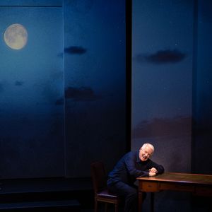 Il incarne ce personnage avec une grande maîtrise, et dévoile, dans un spectacle théâtral et musical, les réflexions d'un homme face à l'absurdité du monde.
André Dussollier dans "Sans Dessus-Dessous" au Théâtre des Bouffes Parisiens.