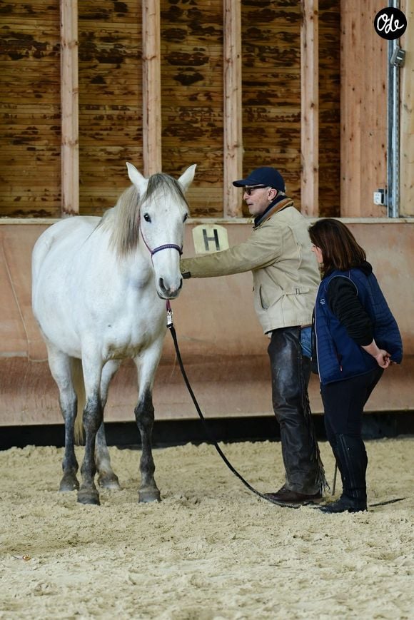 Thierry Lhermitte anime un atelier d'équithérapie et d'étologie à la maison Hope à Saint-Cergues en Haute Savoie le samedi 24 janvier 2026. © Romain Doucelin/Bestimage