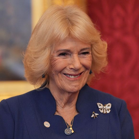 La reine Camilla a fait une apparition très remarquée il y a quelques jours.

Camilla Parker Bowles, reine consort d'Angleterre, donne une réception au palais St James à Londres en l'honneur des lauréats du concours de dissertation du Commonwealth de la reine. Photo par PA Photo/ Bestimage