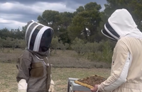 Véronique Jannot en pleine initiation à l'apiculture.