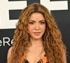 L’artiste travaille notamment sur Dai Dai avec Burna Boy, futur hymne de la Coupe du monde de la FIFA 2026.

Shakira - Photocall de la 67ème cérémonie des Grammy Awards 2025 à Los Angeles le 2 février 2025.
Broadimage / Bestimage
