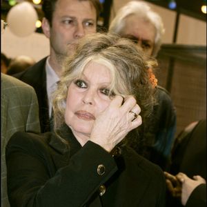 Brigitte Bardot est décédée à l'âge de 91 ans. 

Brigitte Bardot et la Journée spéciale d'adoption "Le Noël des animaux" organisée par la SPA Photo par AGENCE / BESTIMAGE