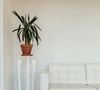 Une experte en nettoyage partage ses astuces de grand-mère, économiques et efficaces, pour redonner tout leur éclat à vos meubles. 

Image Unsplash
