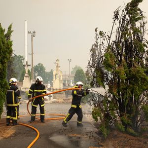 Feu de forêt en Gironde, les sapeurs pompiers sur tous les fronts - Incendie en Gironde : 220 000 personnes évacuées depuis mercredi, 42 000 hectares ravagés.Le 23 juillet 2026 MPP / Bestimage