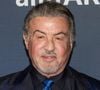 Invité dans 20h30 le dimanche, l’acteur s’est confié sur son ancienne consommation de stéroïdes.

Sylvester Stallone lors de l'événement amfAR Las Vegas au Wynn Las Vegas, le 22 novembre 2024, à Las Vegas, dans le Nevada. Photo : DeeCee Carter/MediaPunch/ABACAPRESS.COM