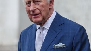 "Grâce à un diagnostic précoce..." : Charles III donne des nouvelles rassurantes à la télévision, 2026 sera une année importante pour lui