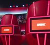 Lors de sa prestation incognito, l'interprète de Où je vis a réussi à séduire les quatre coachs sans qu’ils se doutent de son identité.

The Voice sur TF1 le 28 février 2026