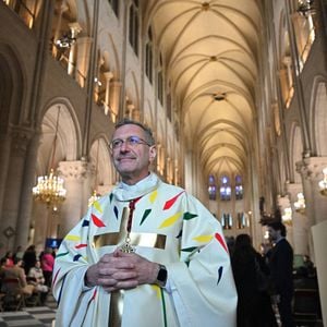 À ceux qui n'aiment pas ses couleurs, le créateur répond : 

Le prêtre Olivier Ribadeau Dumas avant le début de la première messe publique au cours de laquelle l'archevêque de Paris Laurent Ulrich conduira les prières pour consacrer le nouvel autel principal, conçu par l'artiste et designer français Guillaume Bardet, à la cathédrale Notre-Dame de Paris, à Paris, le 8 décembre 2024.  Photo by Eliot Blondet/ABACAPRESS.COM