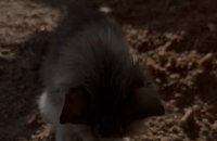 Elodie Gossuin @Instagram