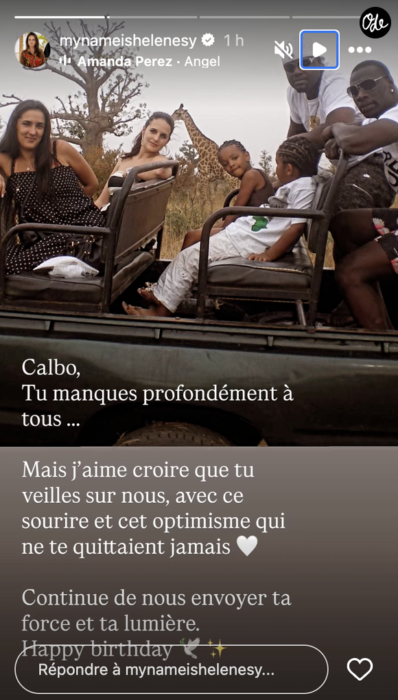 Dans sa story Instagram, Hélène Sy a d'abord partagé une magnifique photo de vacances, capturée lors d'un safari. 

Hélène Sy rend hommage à un ami cher