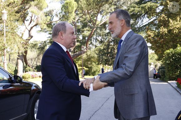 En effet, un déplacement du souverain pontife est également prévu en Espagne à cette même période, ce qui risque de limiter les disponibilités du roi Felipe VI pour recevoir le prince Albert II.



Le roi Felipe VI d'Espagne reçoit le prince Albert II de Monaco au palais Zarzuela à Madrid, Espagne, le 15 octobre 2022. AGENCE / BESTIMAGE