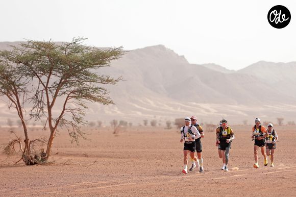 Illustration du Marathon des Sables 2023 dans le désert marocain, le 24 avril 2023.
Jon Bromley/Action Plus Sports via Zuma Press/Bestimage