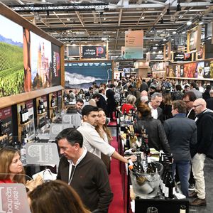 Plusieurs célébrités investissent le marché du vin.
Illustration du salon Wine Paris 2026 au parc des expositions de la Porte de Versailles à Paris, France. © Lionel Urman/Bestimage
