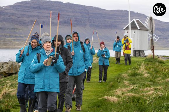 18 juin 2024, Parc national de Kejimkujik, Nouvelle-Écosse, Canada : Touristes attaqués par des sternes arctiques. L'île de Vigur est connue pour son avifaune, notamment les sternes arctiques, qui sont particulièrement agressives lorsqu'elles défendent leur nid. Elles attaquent les humains en les frappant à la tête avec leur bec acéré. Il est conseillé aux visiteurs de tenir des bâtons au-dessus de leur tête pour avertir les oiseaux...L'île de Vigur, à une demi-heure de bateau d'ÃsafjÃ¶rÃ°ur dans les Westfjords, est célèbre pour son énorme colonie d'oiseaux. On y trouve notamment des macareux, des eiders, des sternes arctiques, des guillemots noirs et des petits pingouins. (Crédit photo : © Sergi Reboredo/ZUMA Press Wire)
