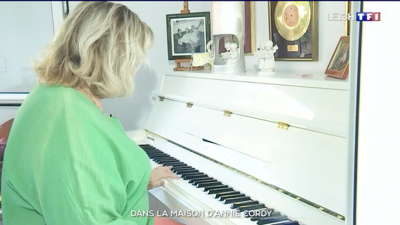 Un havre de paix coûteux

Image de la maison d'Annie Cordy à Vallauris dans les Alpes-Maritimes
©Capture d'écran du JT de 13h de TF1