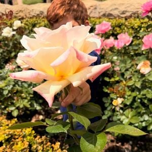 Le prince Harry et Meghan Markle protègent leurs enfants, Lilibet et Archie, de la médiatisation.